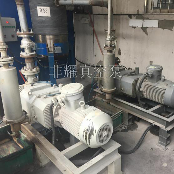 無(wú)油螺桿式真空泵