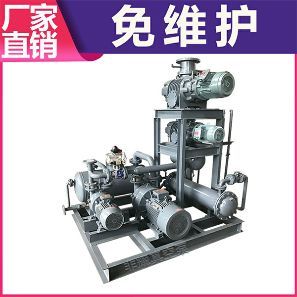 真空泵機(jī)組廠家