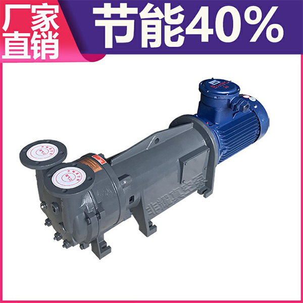 耐腐蝕水環(huán)真空泵