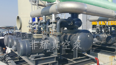 耐腐蝕水環(huán)真空泵在使用的過程中發(fā)熱的原因【非耀】