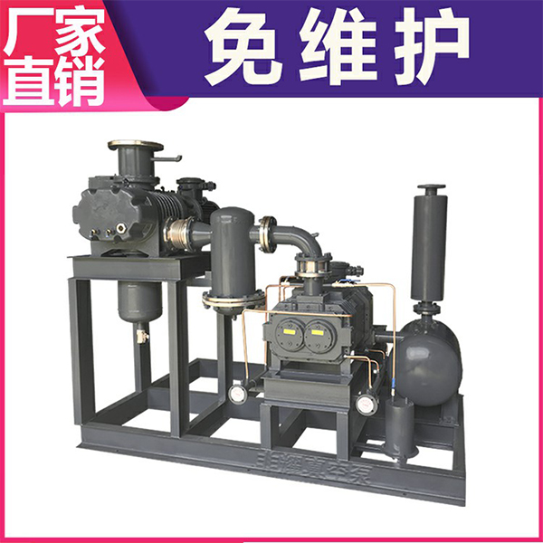 羅茨真空泵機(jī)組型號