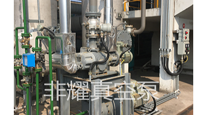 羅茨真空泵機(jī)組選型不用好方法怎么行【非耀】