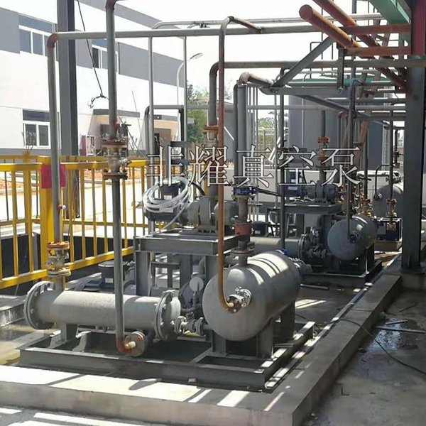 防爆水環(huán)真空泵