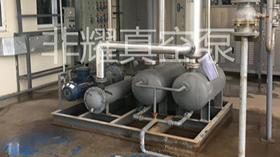 ZJP羅茨真空泵噪音的元兇，這次不藏了【非耀】