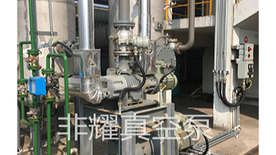 羅茨真空泵機(jī)組工作效能受阻大揭秘【非耀】