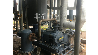 螺桿真空泵磨損需要這樣看【非耀】