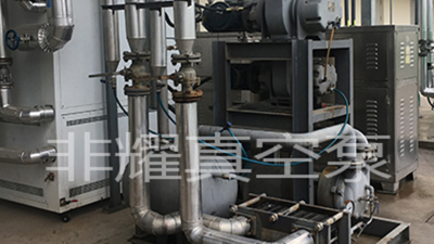 深入探討三級(jí)羅茨真空泵為何會(huì)生銹，廠家解惑【非耀】