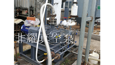 解析變頻螺桿真空泵出現(xiàn)噪音和振動(dòng)的原因【非耀】