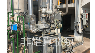 廠家?guī)闾骄咳壛_茨真空泵轉子使用正確姿勢【非耀】