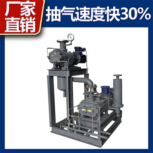 干式螺桿真空機(jī)組