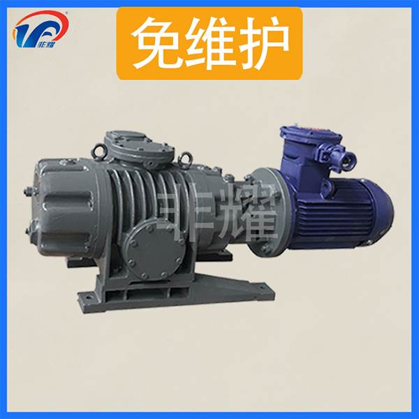 耐腐蝕羅茨真空泵