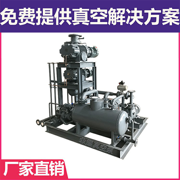 羅茨水環(huán)真空泵機(jī)組