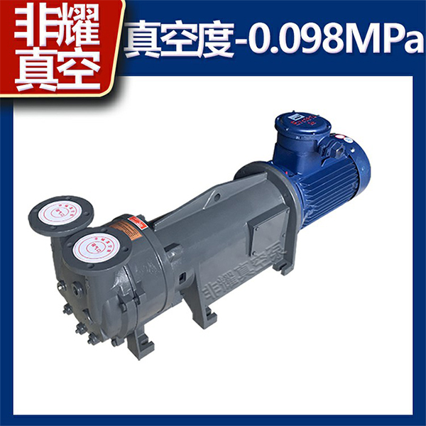 2BV水環(huán)式真空泵