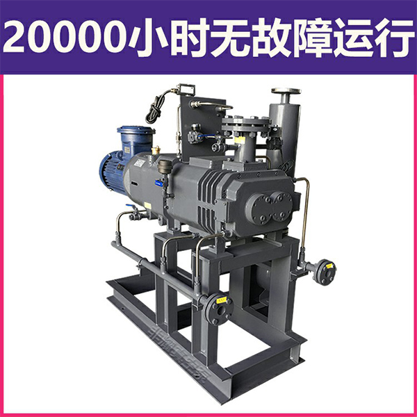 無(wú)油螺桿真空泵