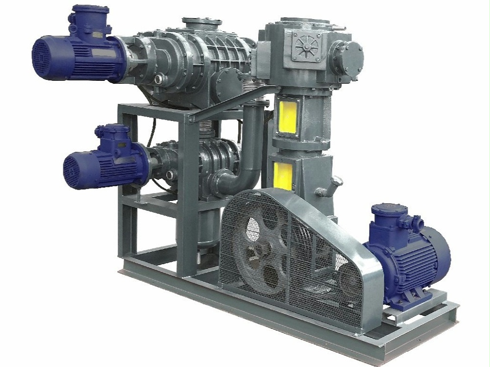 羅茨泵+往復(fù)真空泵機(jī)組 羅茨泵+往復(fù)真空泵機(jī)組