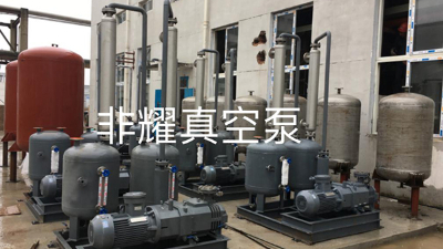 調控變頻螺桿真空泵油量多少【非耀】