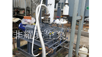 廠家?guī)懔私庾冾l螺桿真空泵的四大優(yōu)勢(shì)【非耀】