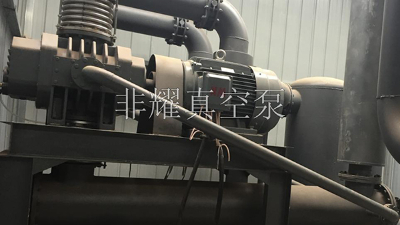 源頭廠家探討氣冷羅茨真空泵的適用行業(yè)【非耀】