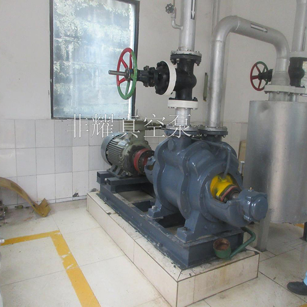 水環(huán)真空泵故障