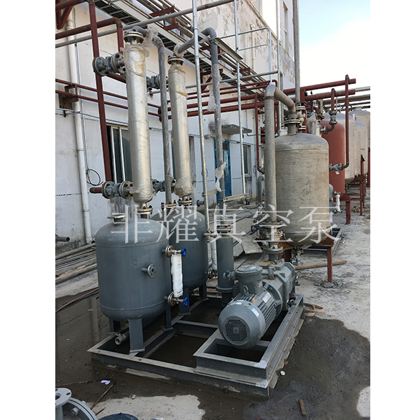 變螺距螺桿真空泵