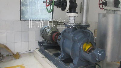 水環(huán)真空泵要想好用自然離不開日常維護(hù)【非耀】