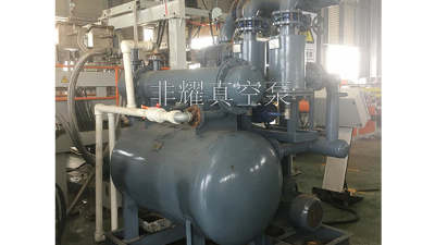 真空系統(tǒng)定制專人專用【非耀】