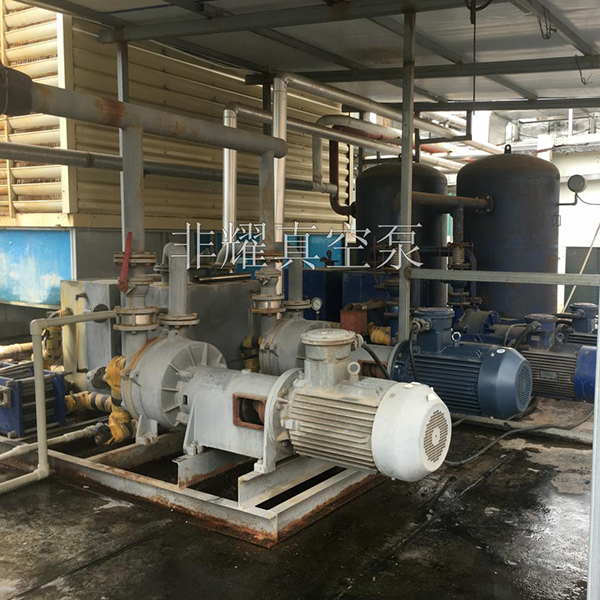 防爆水環(huán)真空泵