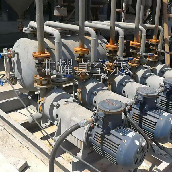 防爆水環(huán)式真空泵