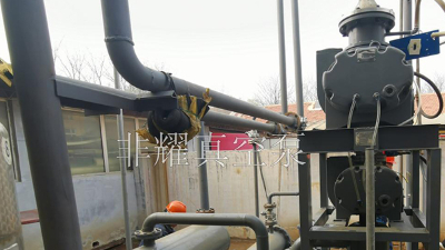 羅茨真空泵廠家實(shí)力擔(dān)當(dāng)【非耀】