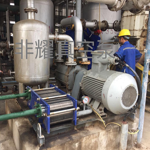 水環(huán)式真空泵機組