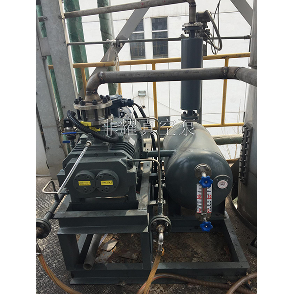 耐腐蝕螺桿真空泵