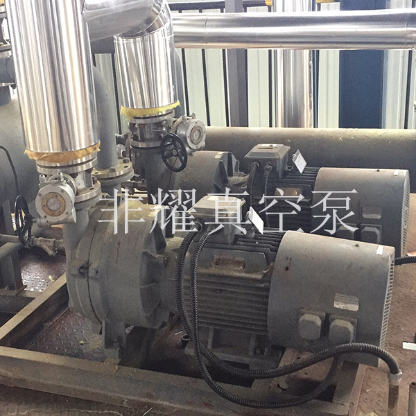 2BV水環(huán)真空泵