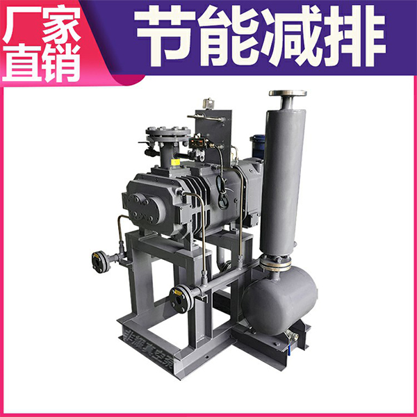 無(wú)油螺桿式真空泵