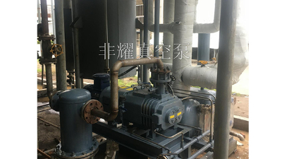 變螺距螺桿真空泵損壞做好提前預(yù)防【非耀】