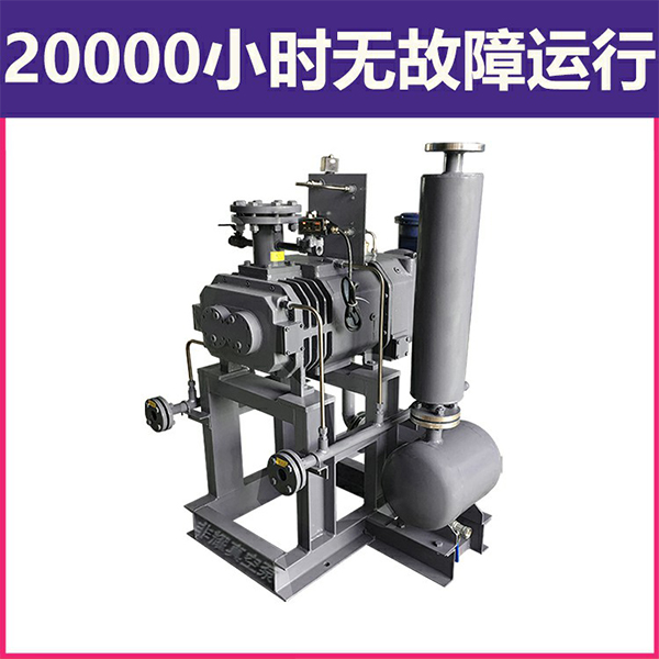 變頻螺桿真空泵