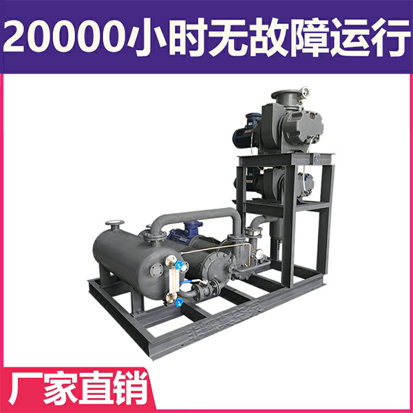 羅茨真空泵機(jī)組型號