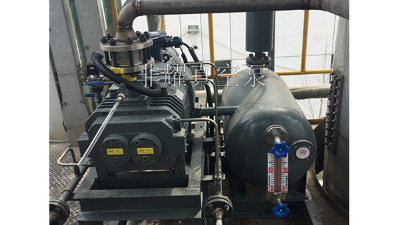 定制干式螺桿真空泵讓性能充分發(fā)揮【非耀】