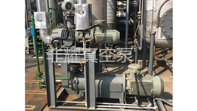 ZJP羅茨真空泵清理泵腔要點請注意，工人破防【非耀】