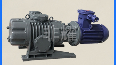 四點(diǎn)讓羅茨真空泵機(jī)組工作效能下降【非耀】